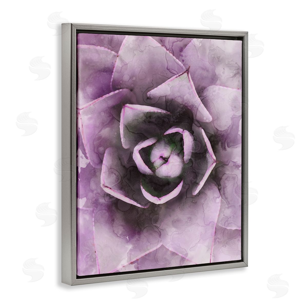 Stupell Studio Modern Purple Succulent Leaves