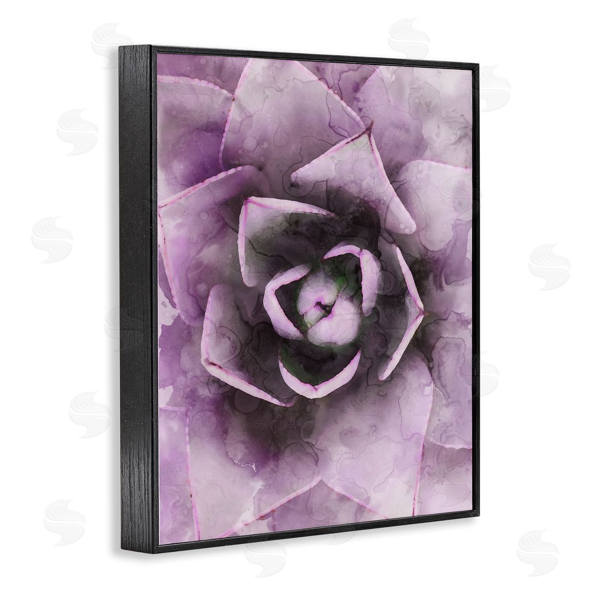 Stupell Studio Modern Purple Succulent Leaves