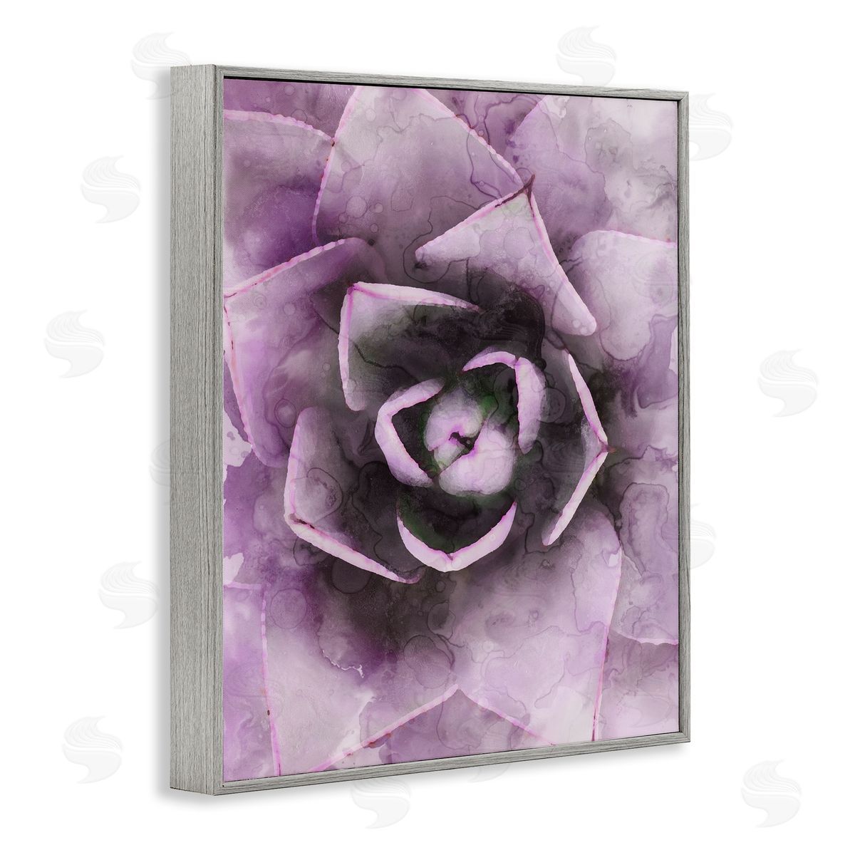 Stupell Studio Modern Purple Succulent Leaves