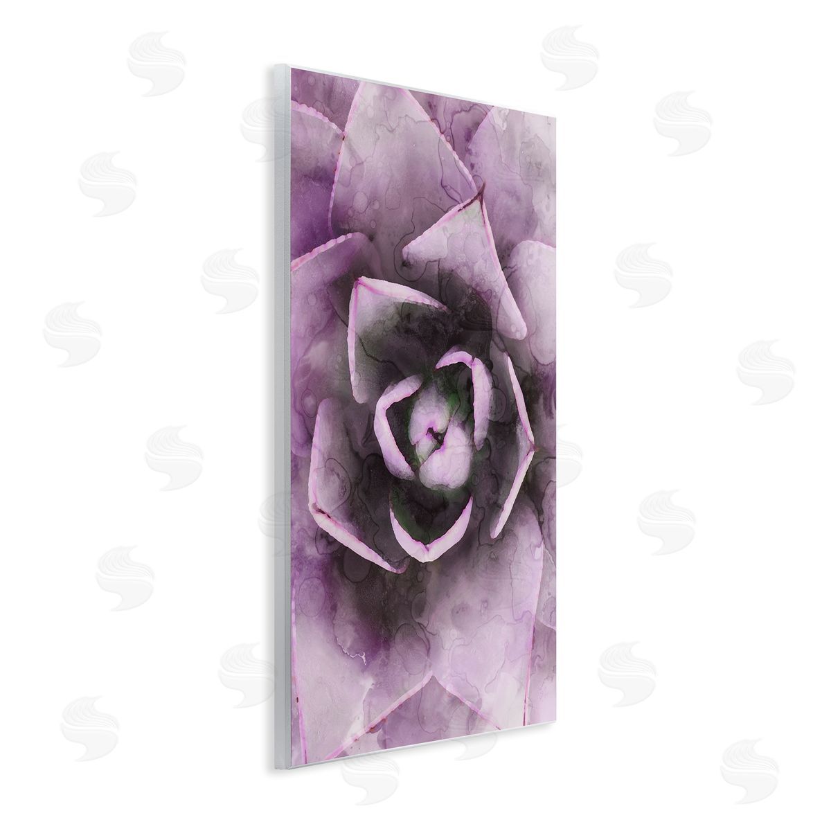 Stupell Studio Modern Purple Succulent Leaves