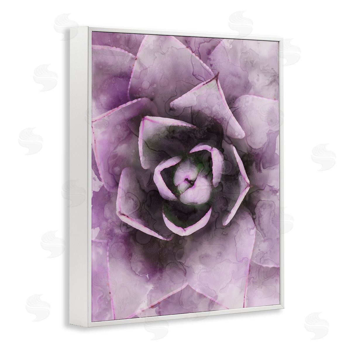 Stupell Studio Modern Purple Succulent Leaves