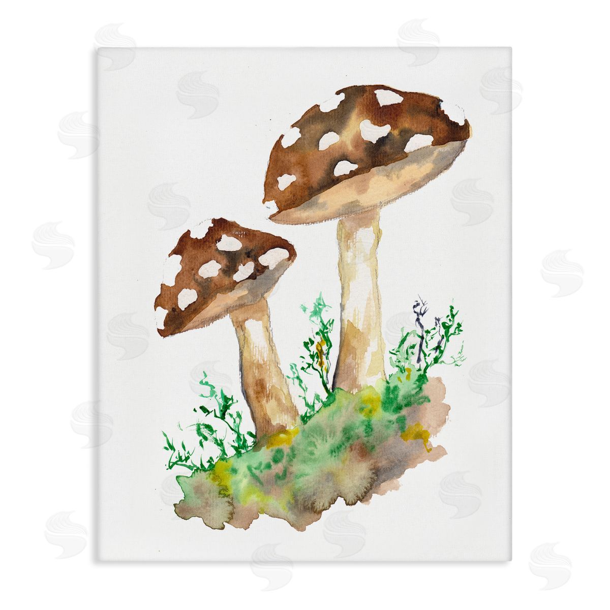 Sebastian Grafmann Spotted Mushroom Forest Plant