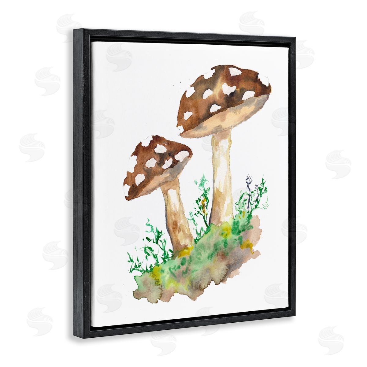 Sebastian Grafmann Spotted Mushroom Forest Plant