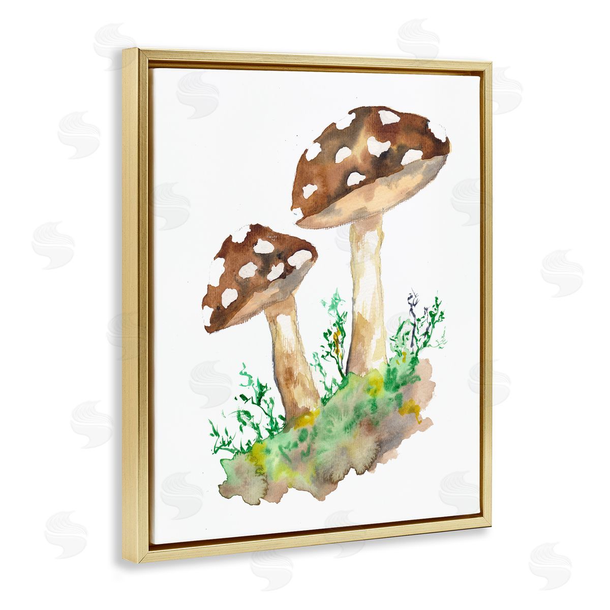 Sebastian Grafmann Spotted Mushroom Forest Plant