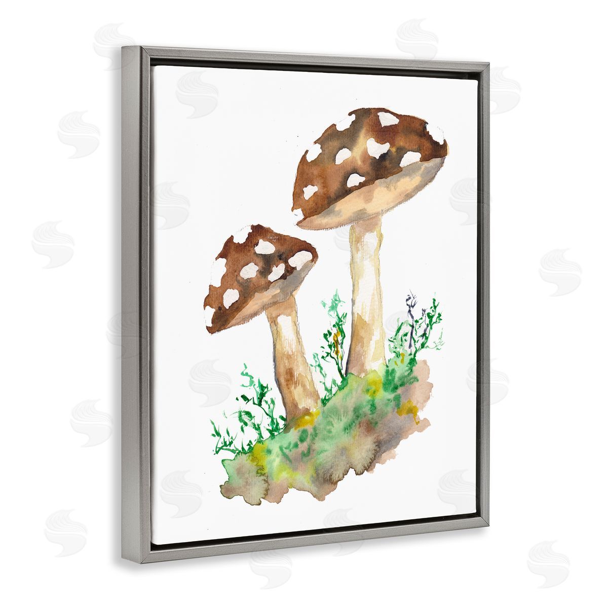 Sebastian Grafmann Spotted Mushroom Forest Plant