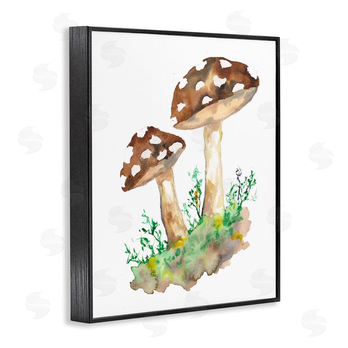 Sebastian Grafmann Spotted Mushroom Forest Plant