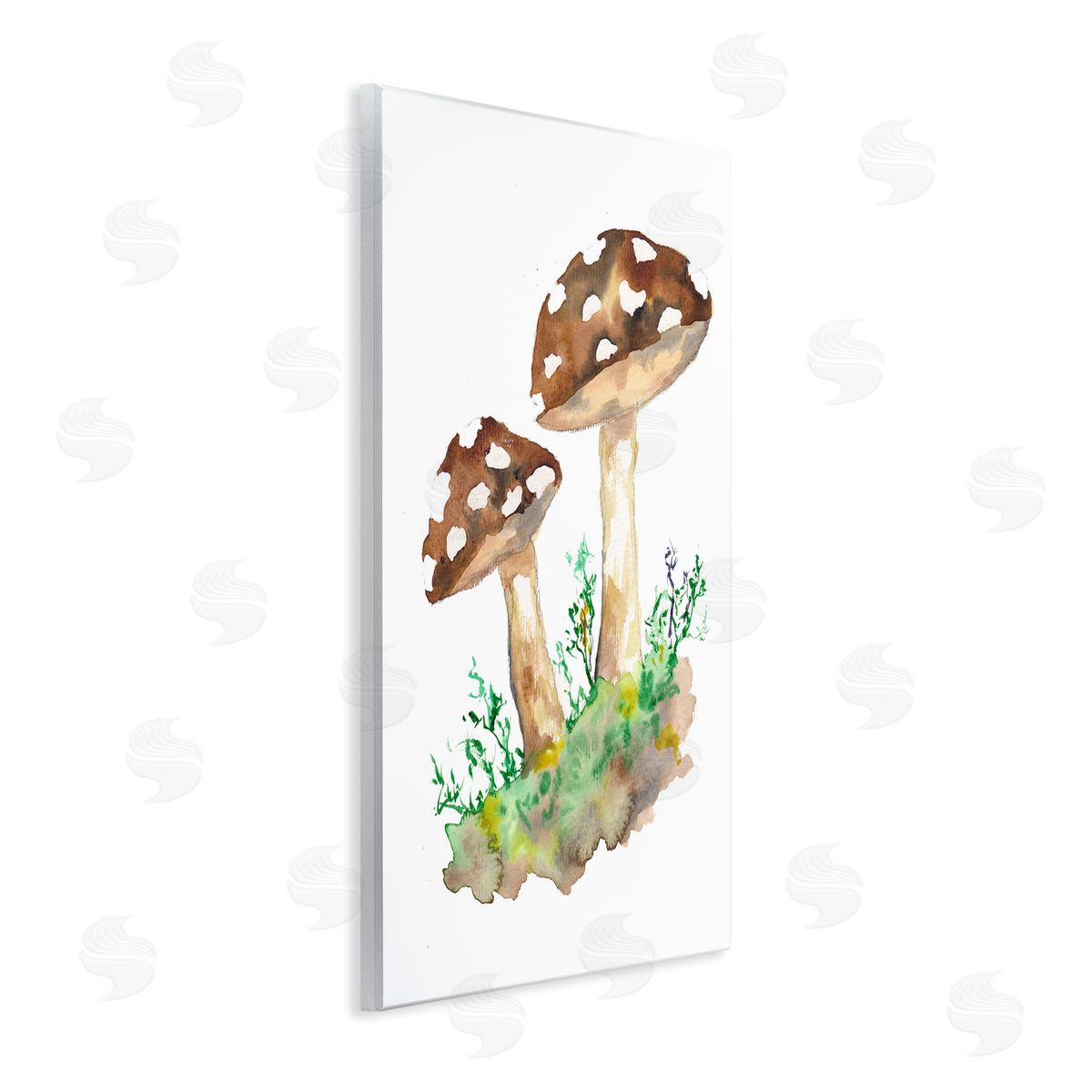 Sebastian Grafmann Spotted Mushroom Forest Plant