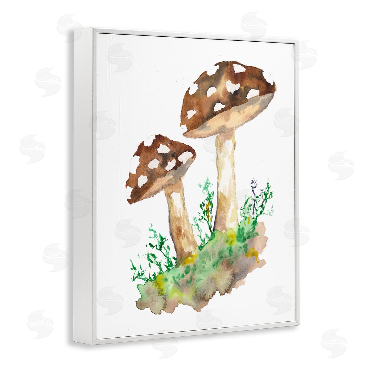 Sebastian Grafmann Spotted Mushroom Forest Plant