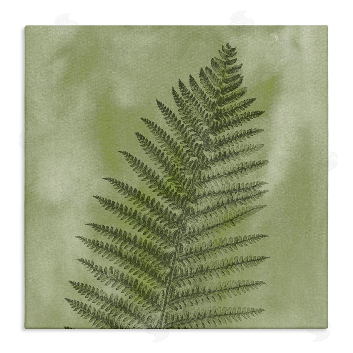 Ziwei Li Wild Nature Fern Leaf  Stretched Canvas Wall Art Print