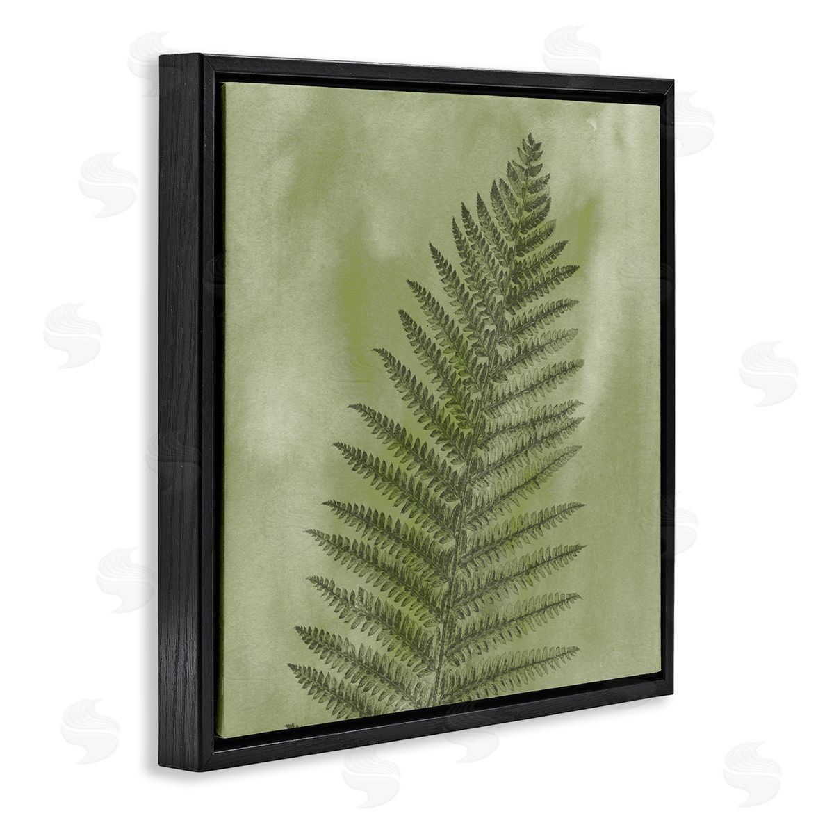 Ziwei Li Wild Nature Fern Leaf  Black Floating Frame Canvas Wall Art Print