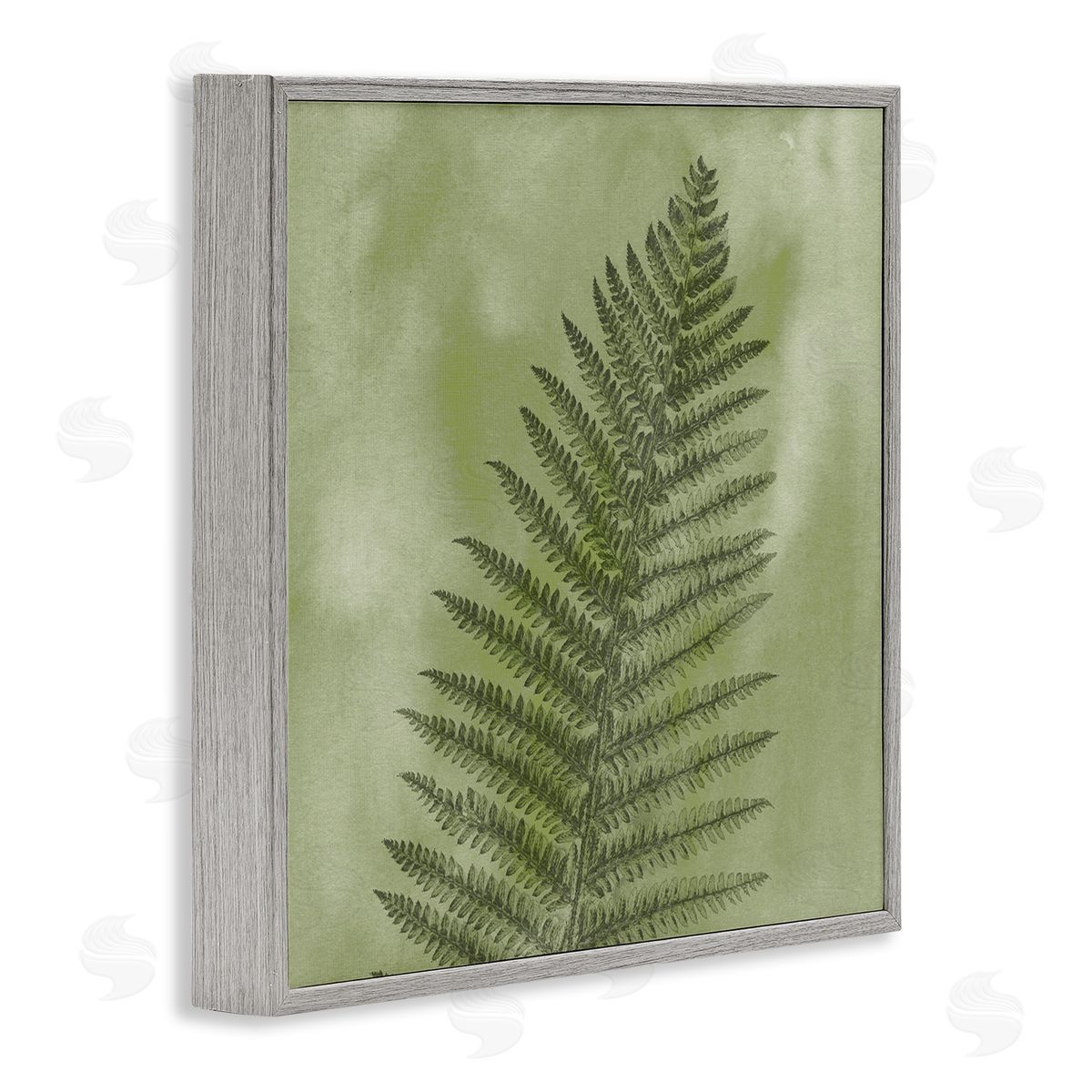 Ziwei Li Wild Nature Fern Leaf  Gray Framed Glicee Wall Art Print