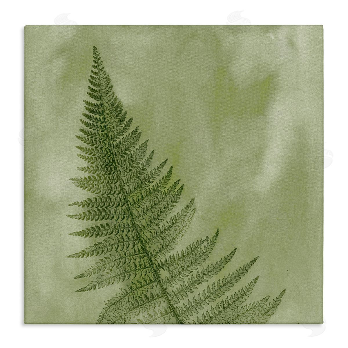 Ziwei Li Modern Fern Nature Plant Stretched Canvas Wall Art Print