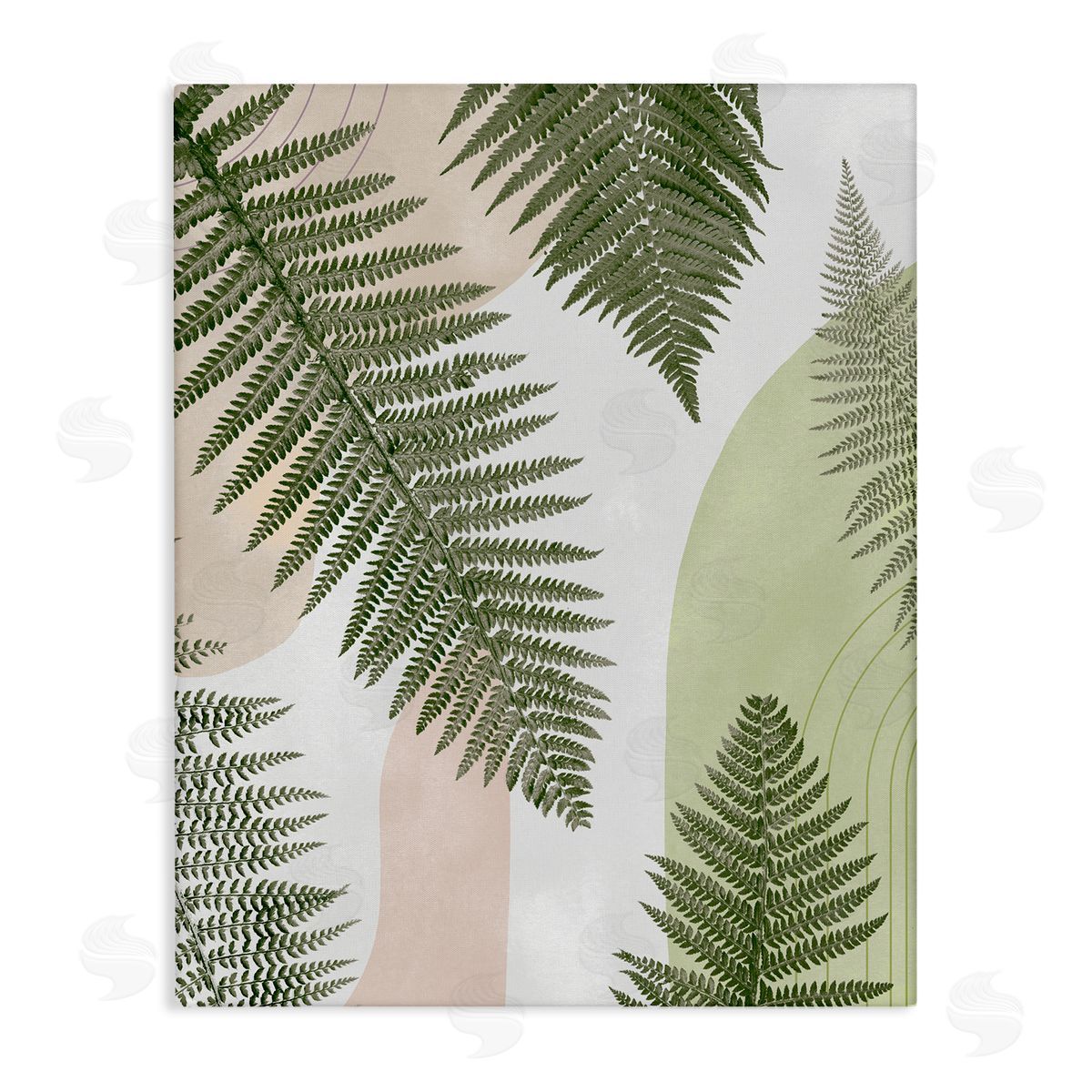 Ziwei Li Woodland Nature Fern Leaves