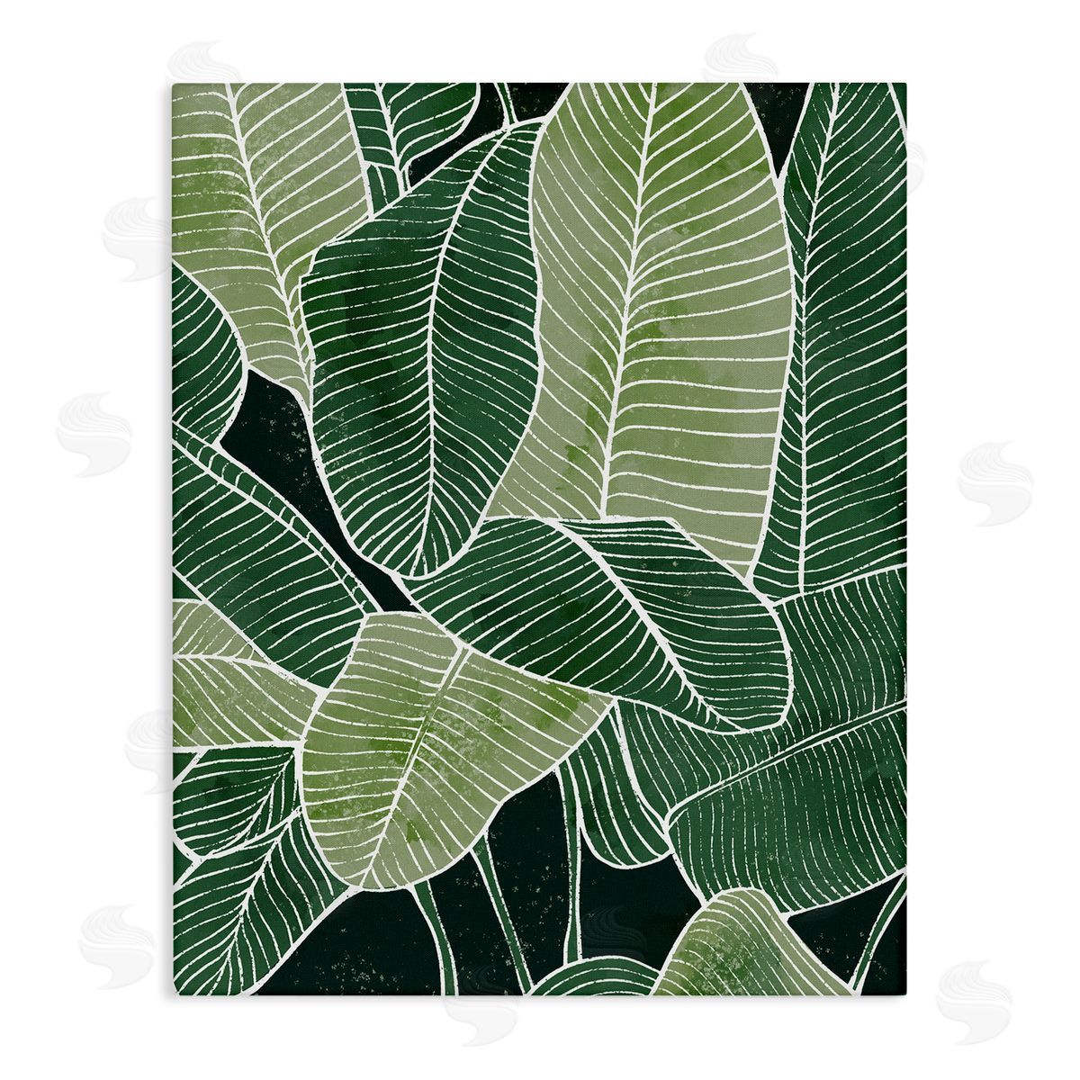 Ziwei Li Tropical Jungle Nature Leaves
