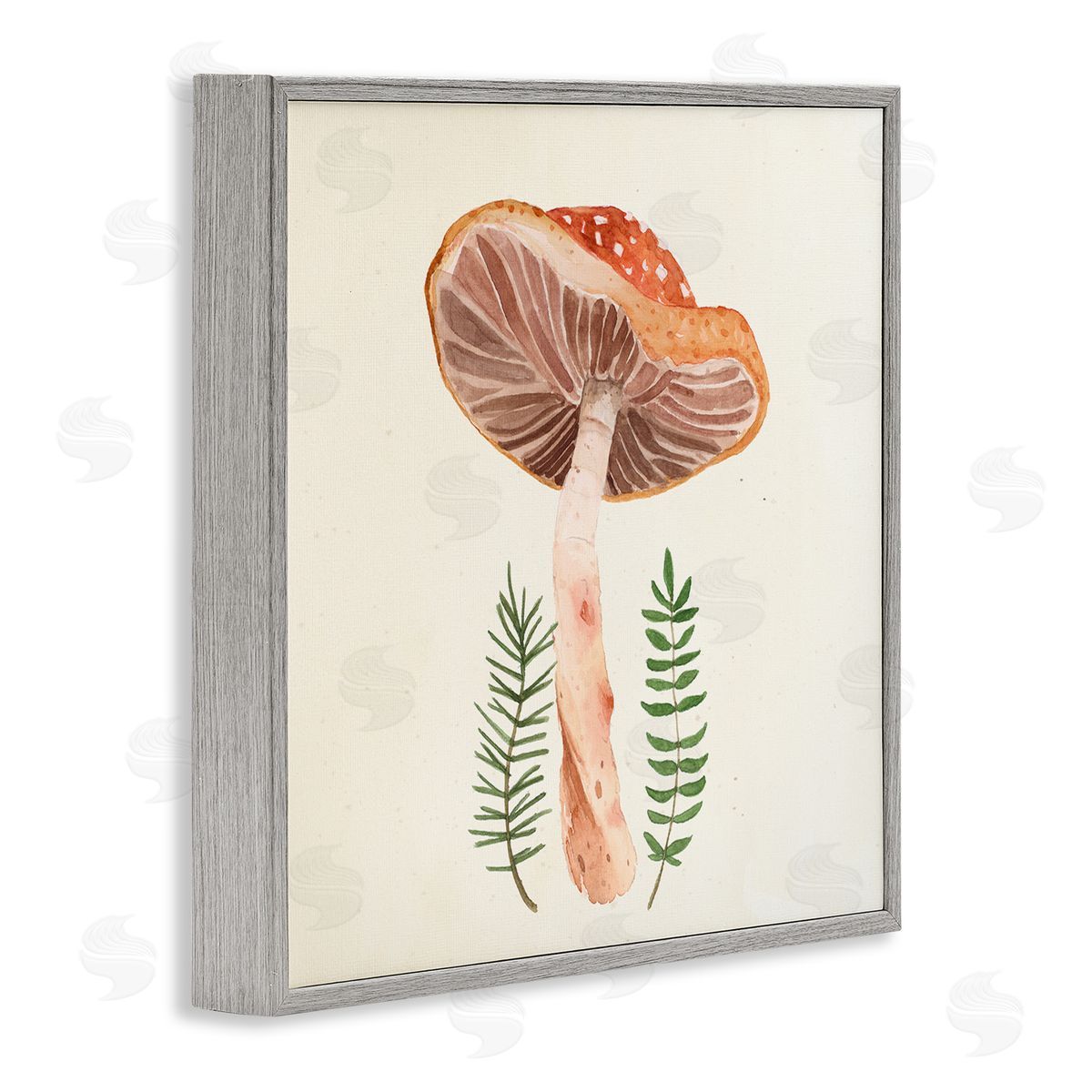 Lucca Sheppard Cottage Mushroom Forest Plants Gray Framed Glicee Wall Art Print