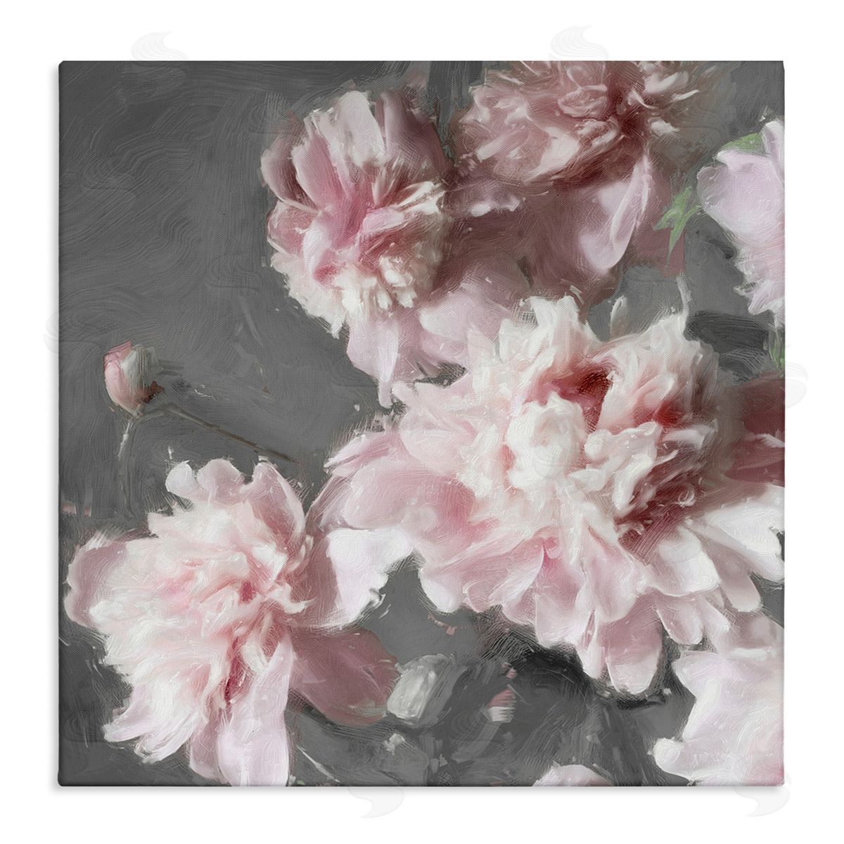 Shawna Sullivan Pink Carnation Buds Blooming Stretched Canvas Wall Art Print