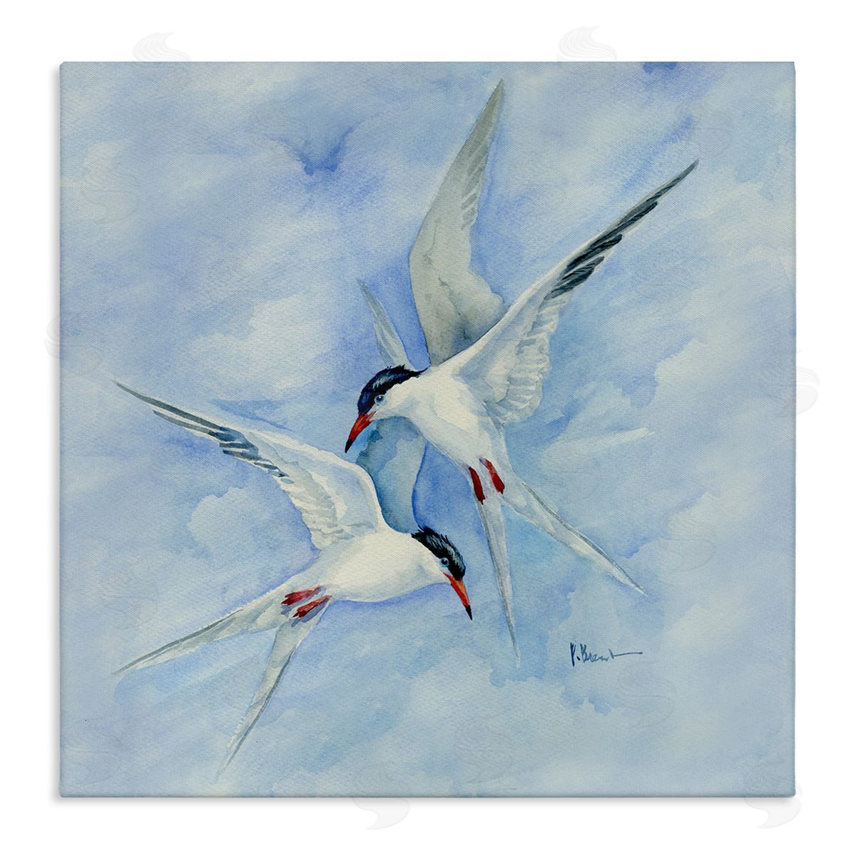 Paul Brent Two Birds Flying Sky Wildlife Stretched Canvas Wall Art Print