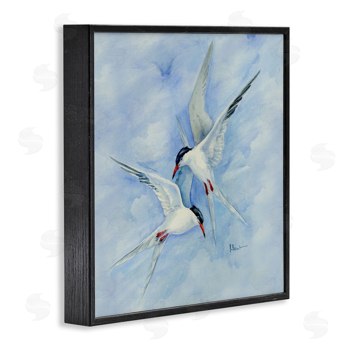 Paul Brent Two Birds Flying Sky Wildlife Black Framed Glicee Wall Art Print