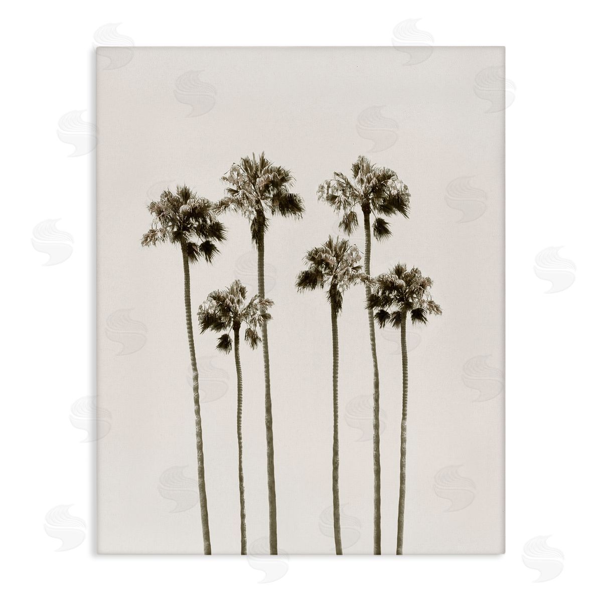 Natalie Carpentieri Tall Palm Trees Looming