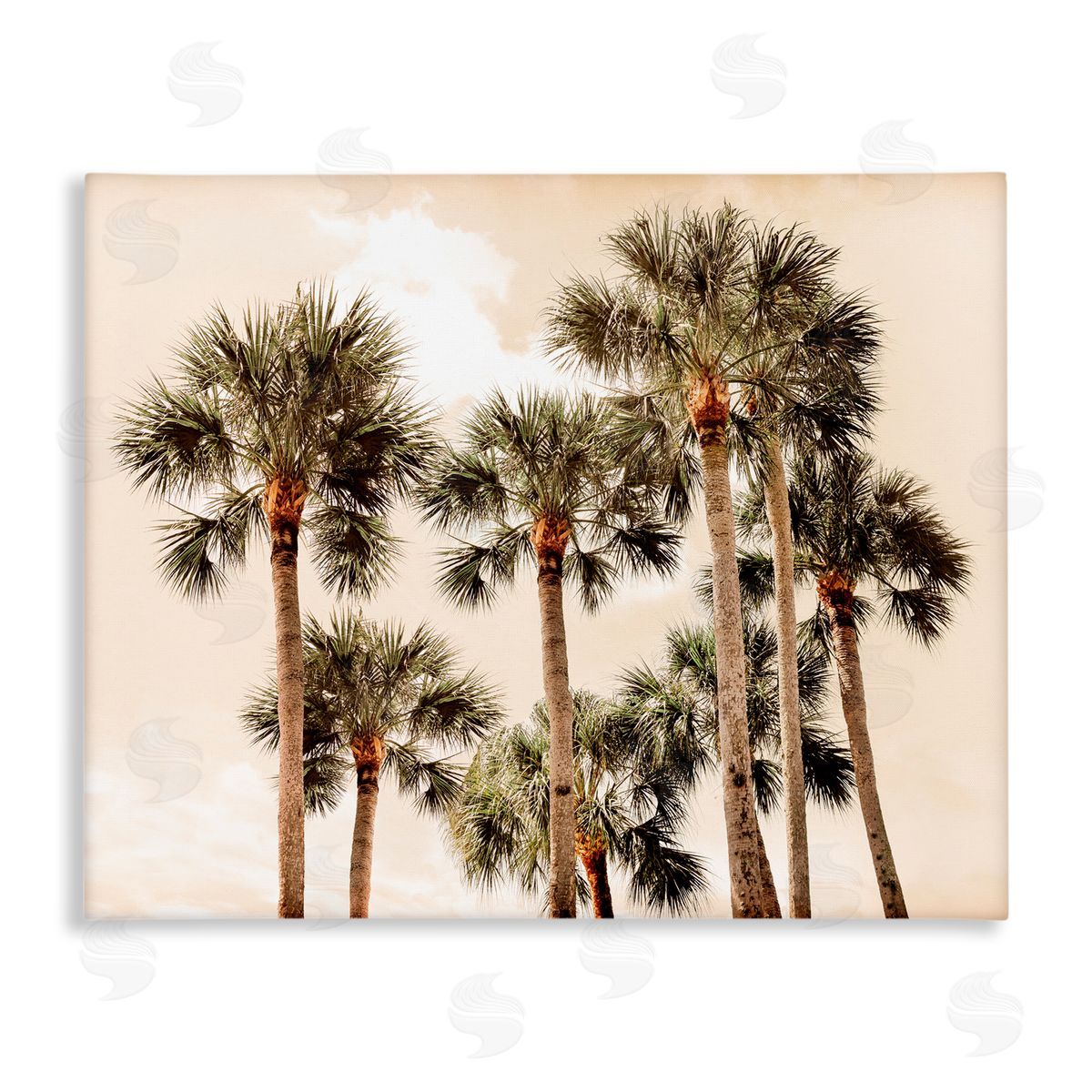 Natalie Carpentieri Summer Palm Trees Sky