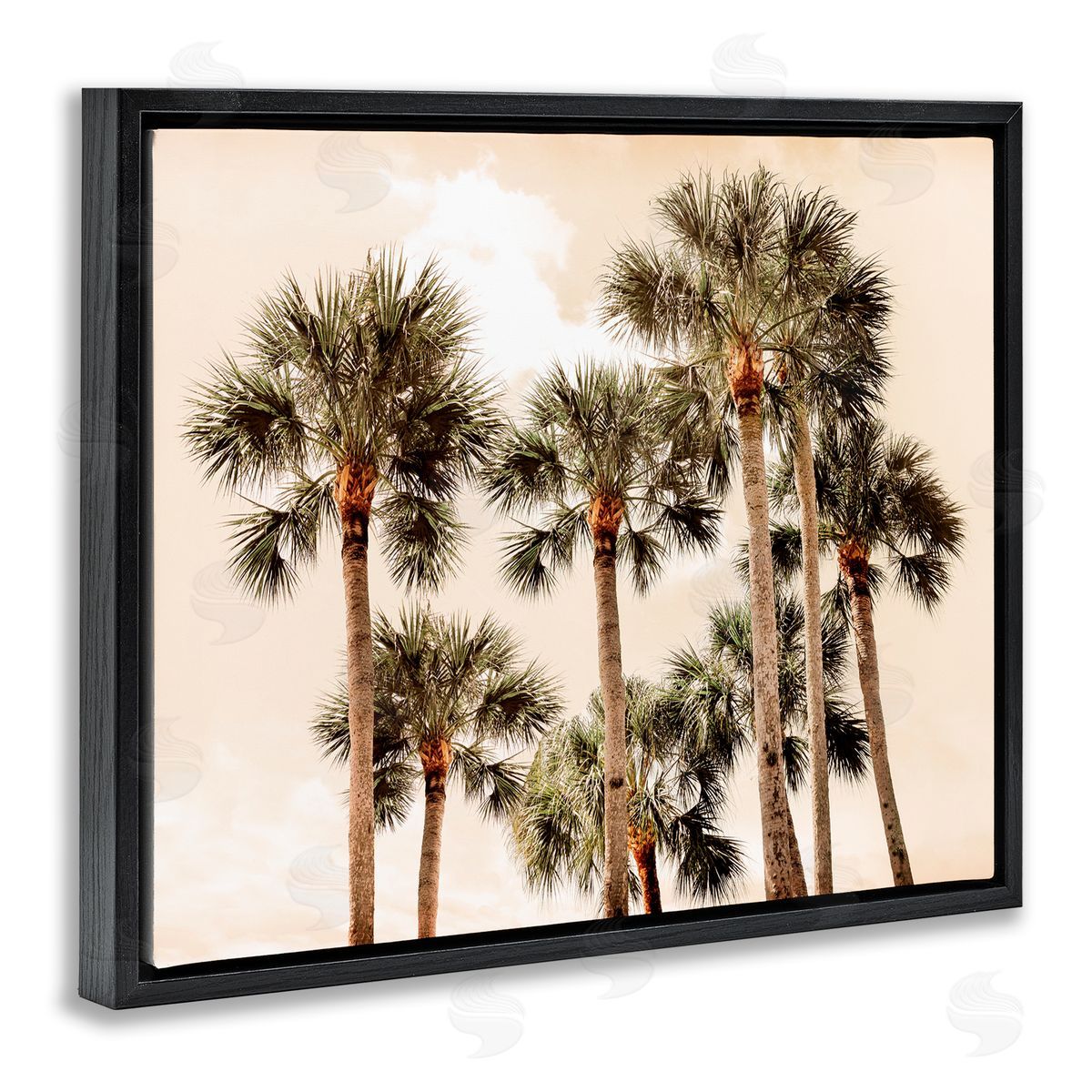 Natalie Carpentieri Summer Palm Trees Sky