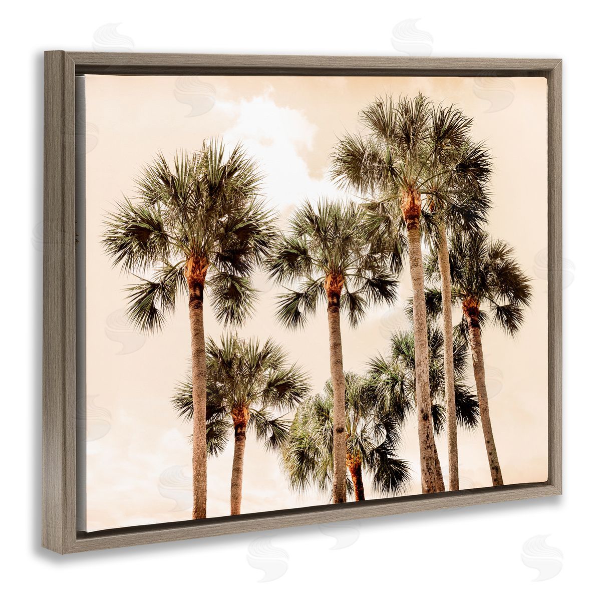 Natalie Carpentieri Summer Palm Trees Sky