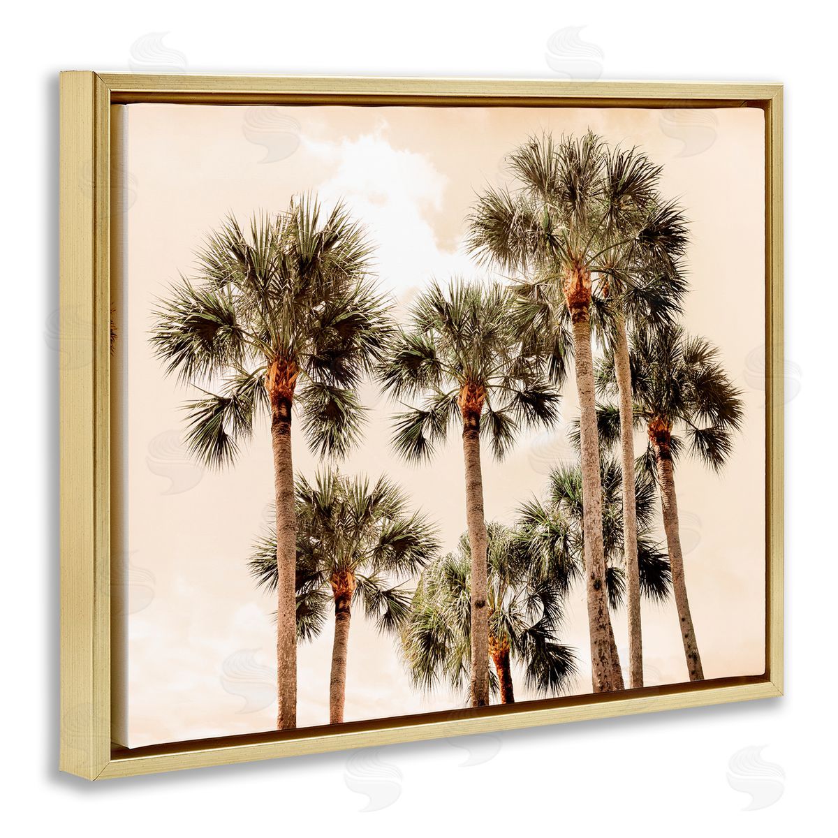 Natalie Carpentieri Summer Palm Trees Sky