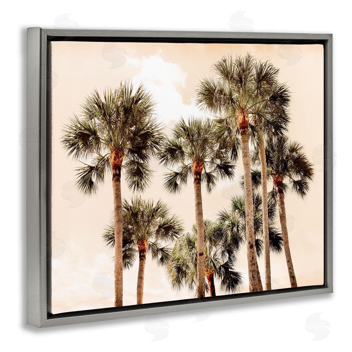 Natalie Carpentieri Summer Palm Trees Sky