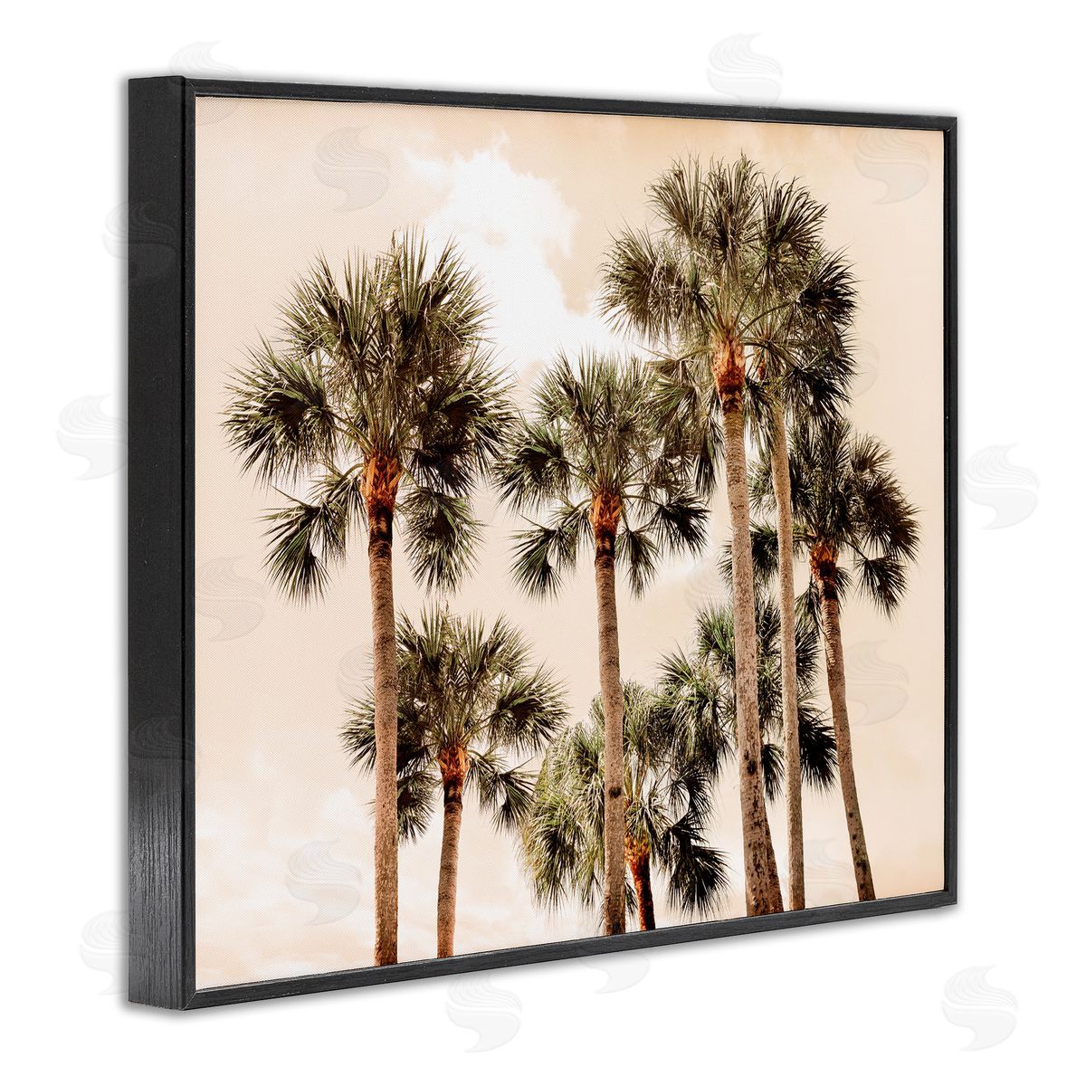 Natalie Carpentieri Summer Palm Trees Sky