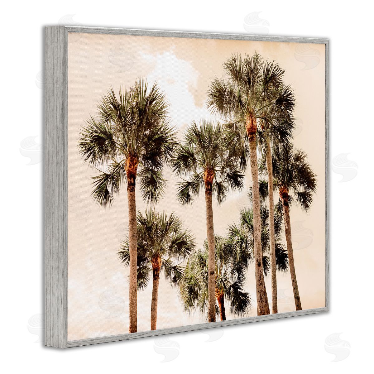 Natalie Carpentieri Summer Palm Trees Sky