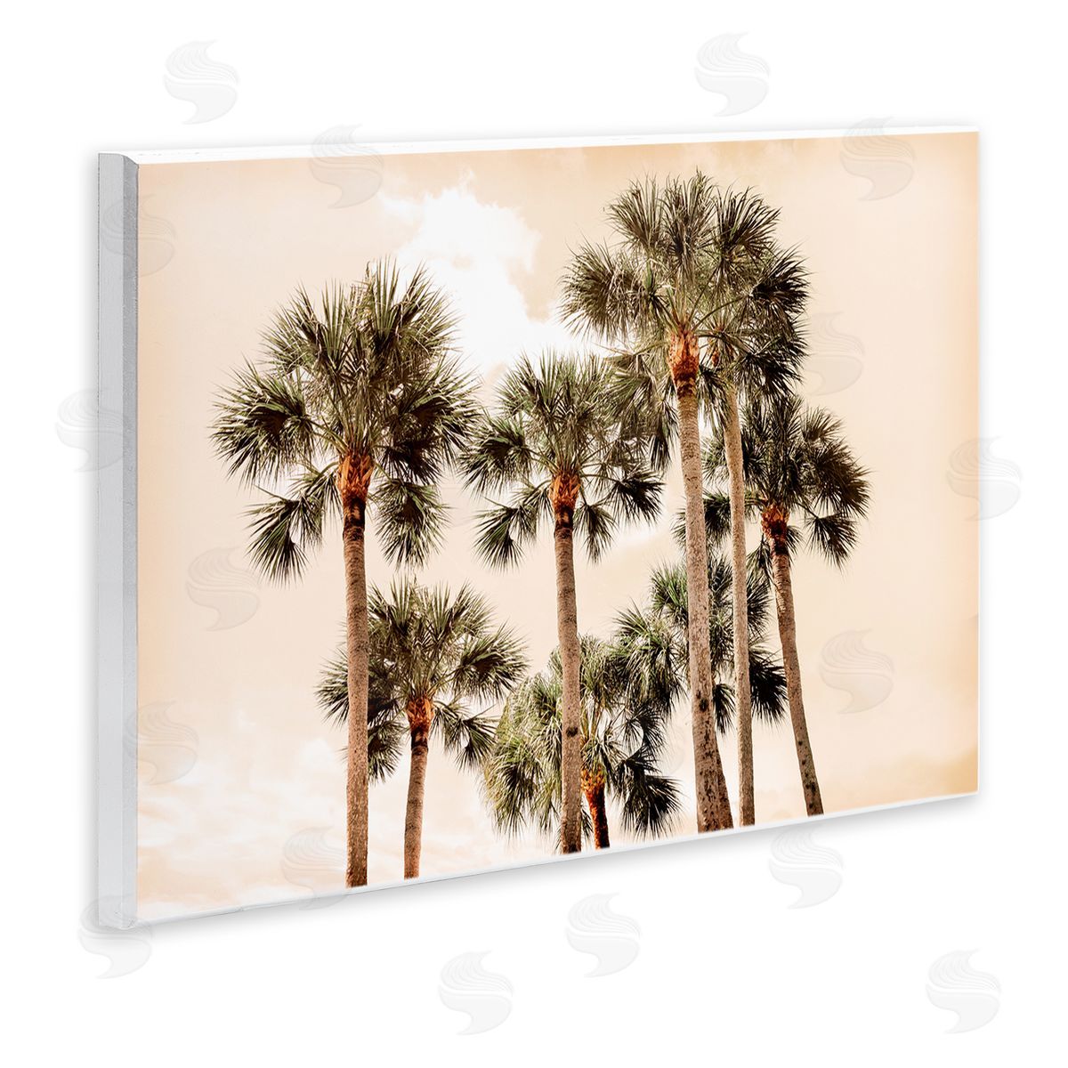 Natalie Carpentieri Summer Palm Trees Sky