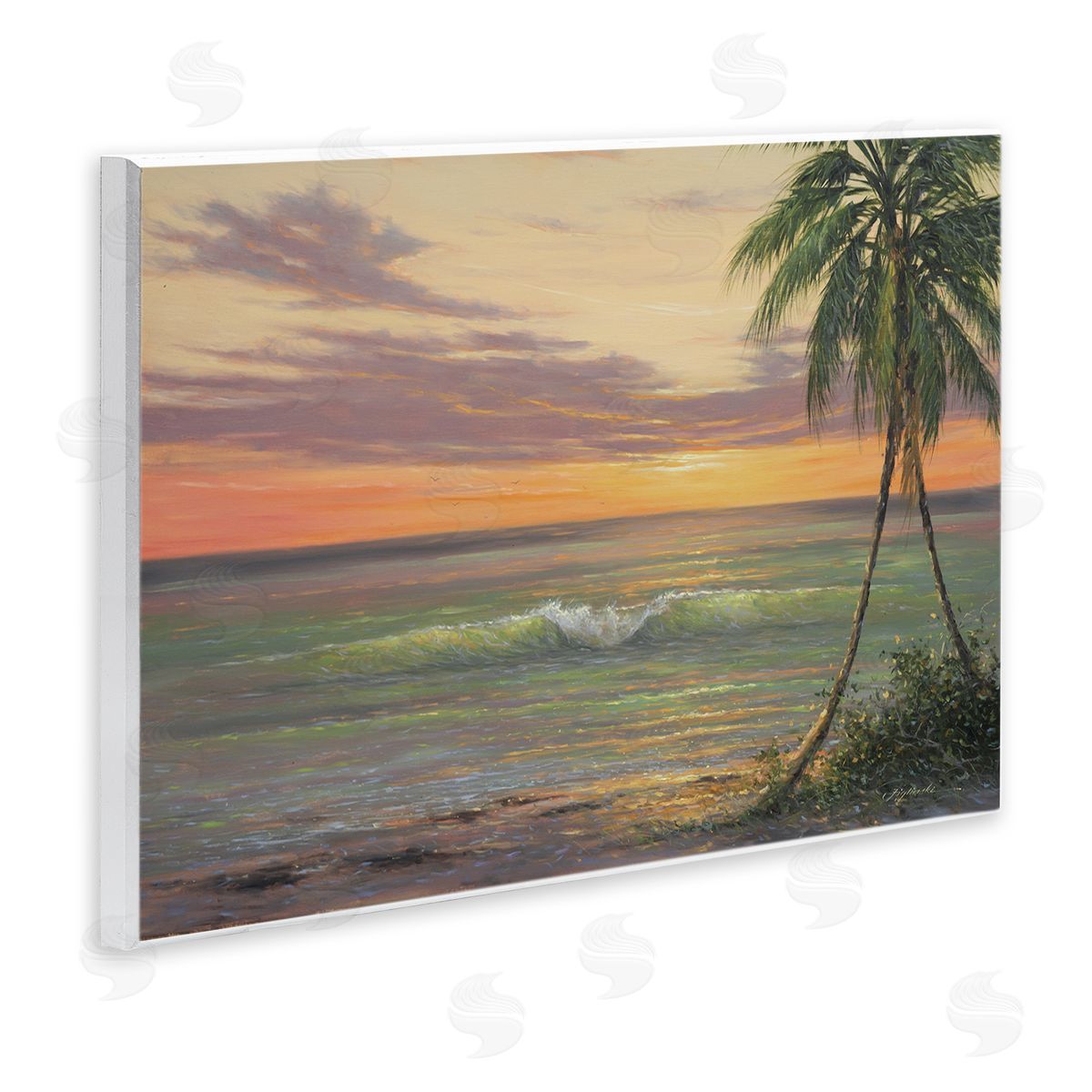 Martin Figlinski Tropical Ocean Waves Beach