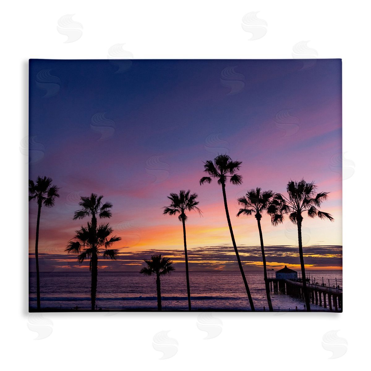 Jeff Poe Photography Vivid Sunset Palm Trees Horizon