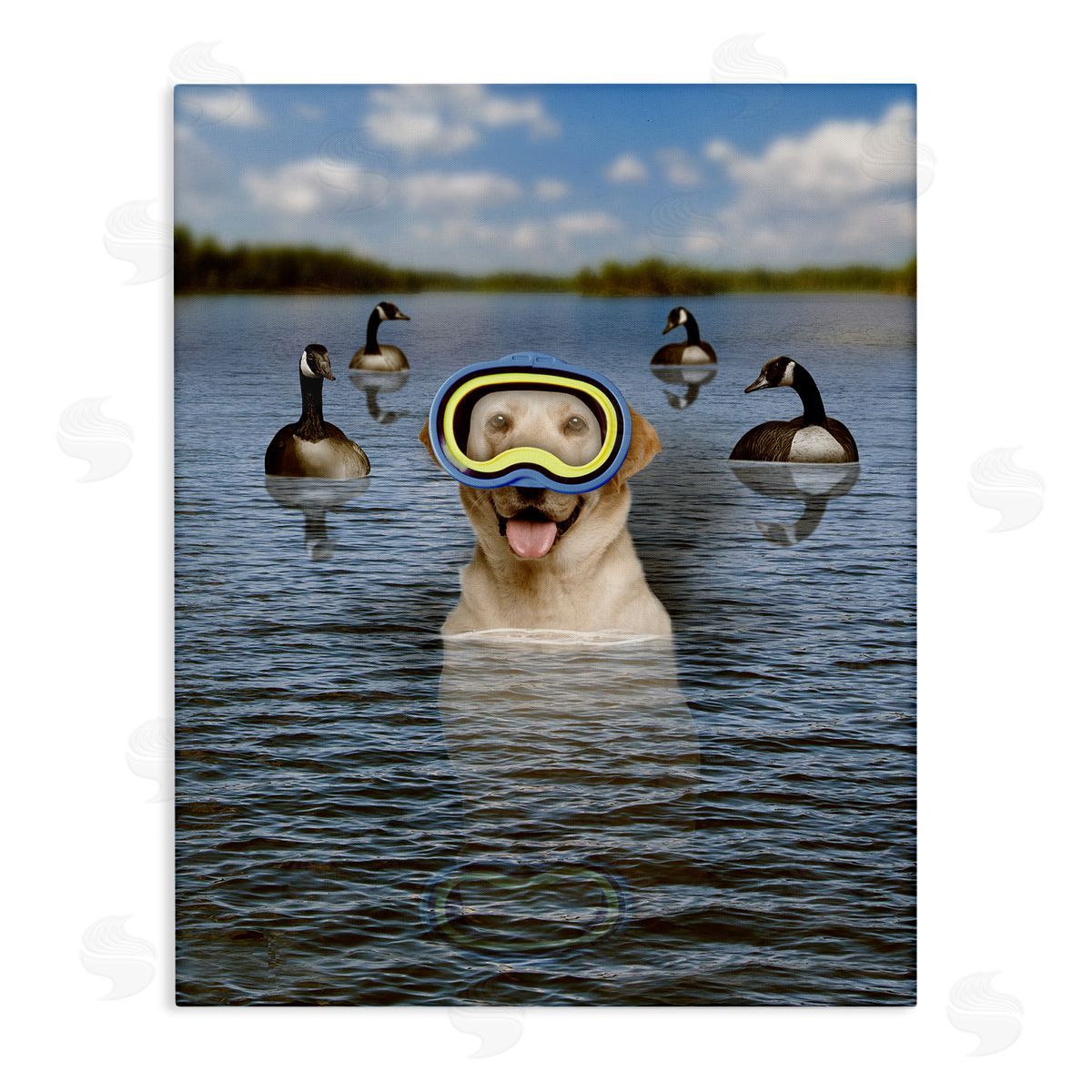 John Hovenstine Funny Dog Goggles Swimming Bay