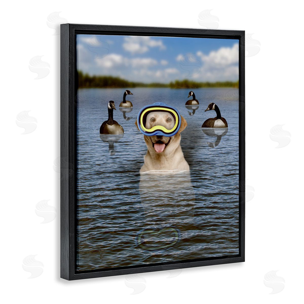 John Hovenstine Funny Dog Goggles Swimming Bay