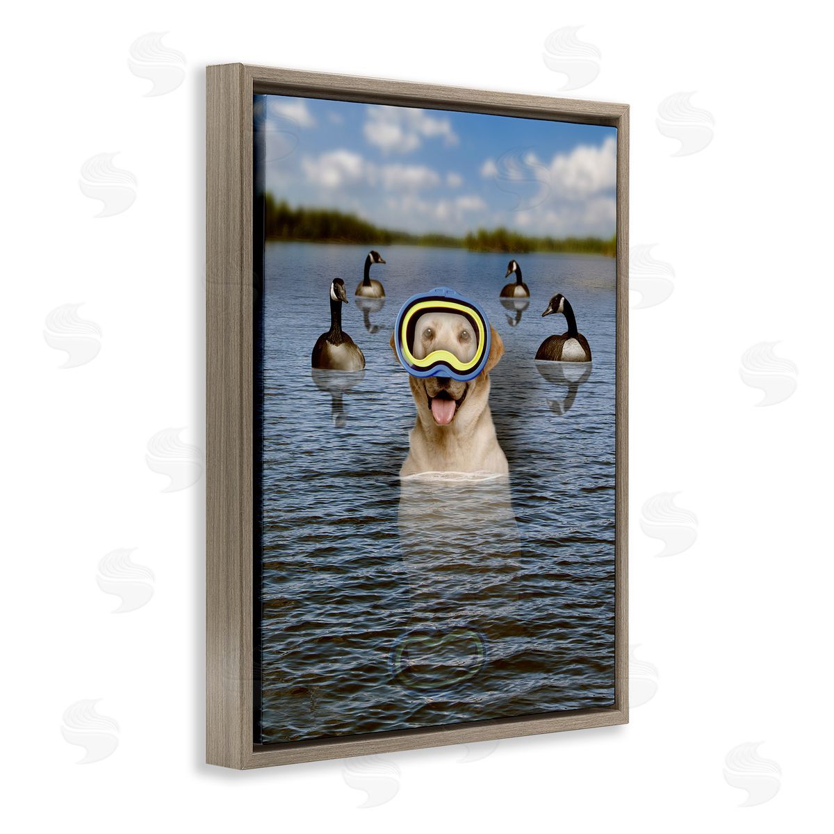 John Hovenstine Funny Dog Goggles Swimming Bay