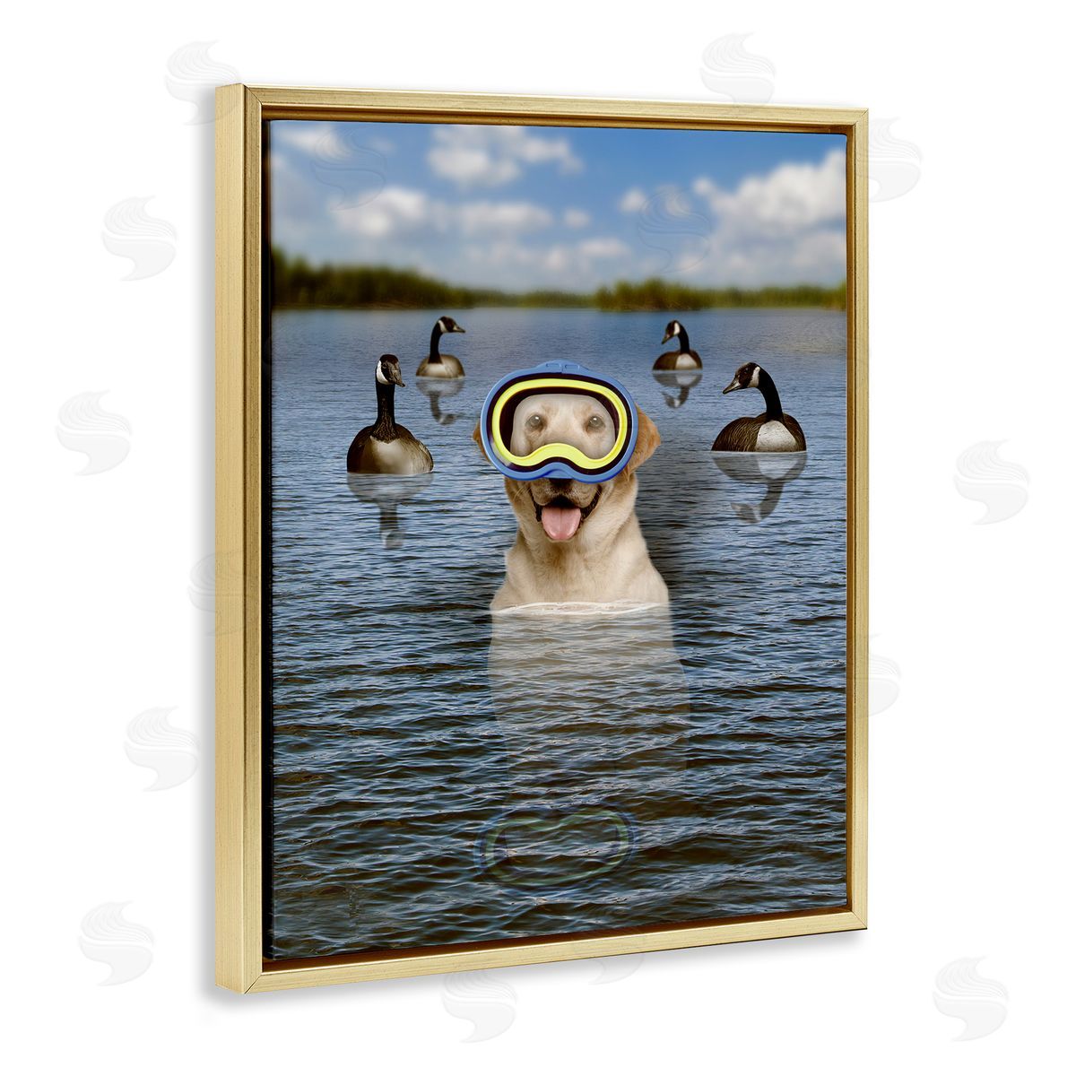 John Hovenstine Funny Dog Goggles Swimming Bay