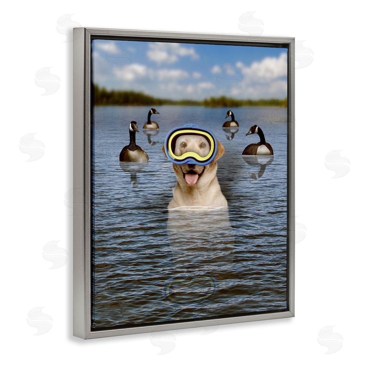 John Hovenstine Funny Dog Goggles Swimming Bay
