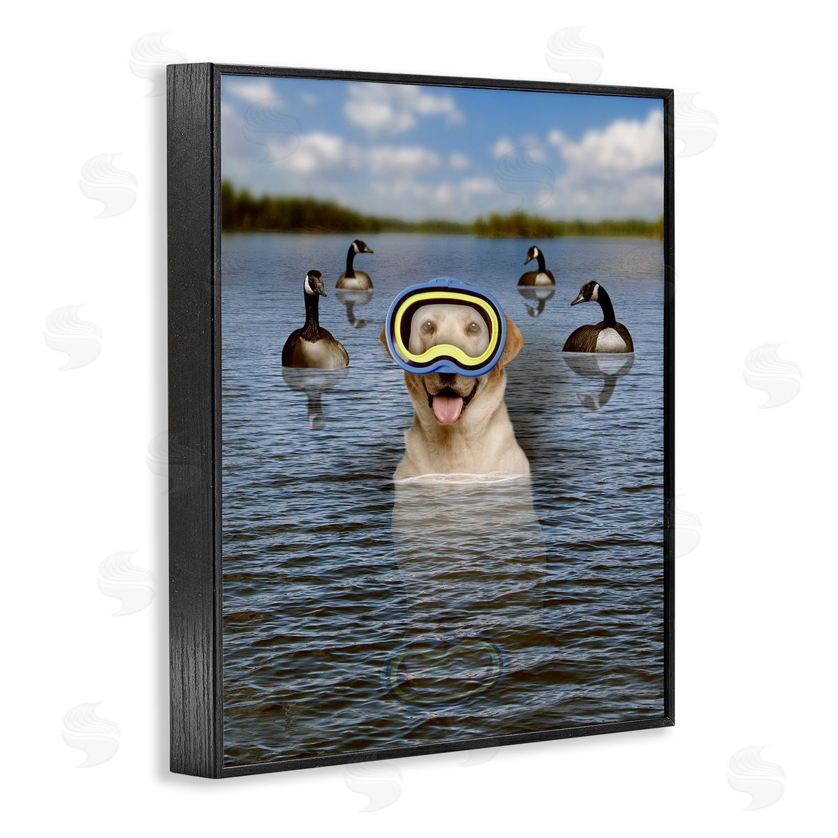 John Hovenstine Funny Dog Goggles Swimming Bay