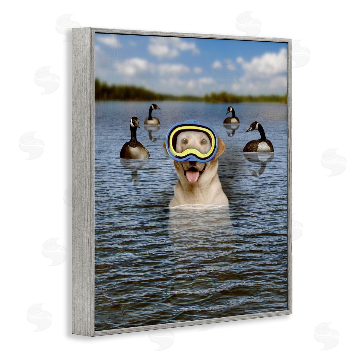 John Hovenstine Funny Dog Goggles Swimming Bay