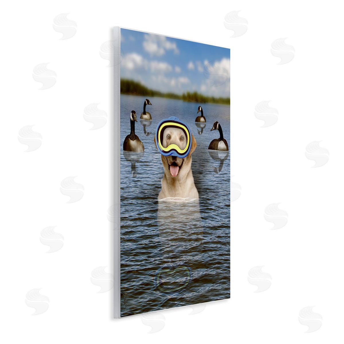 John Hovenstine Funny Dog Goggles Swimming Bay