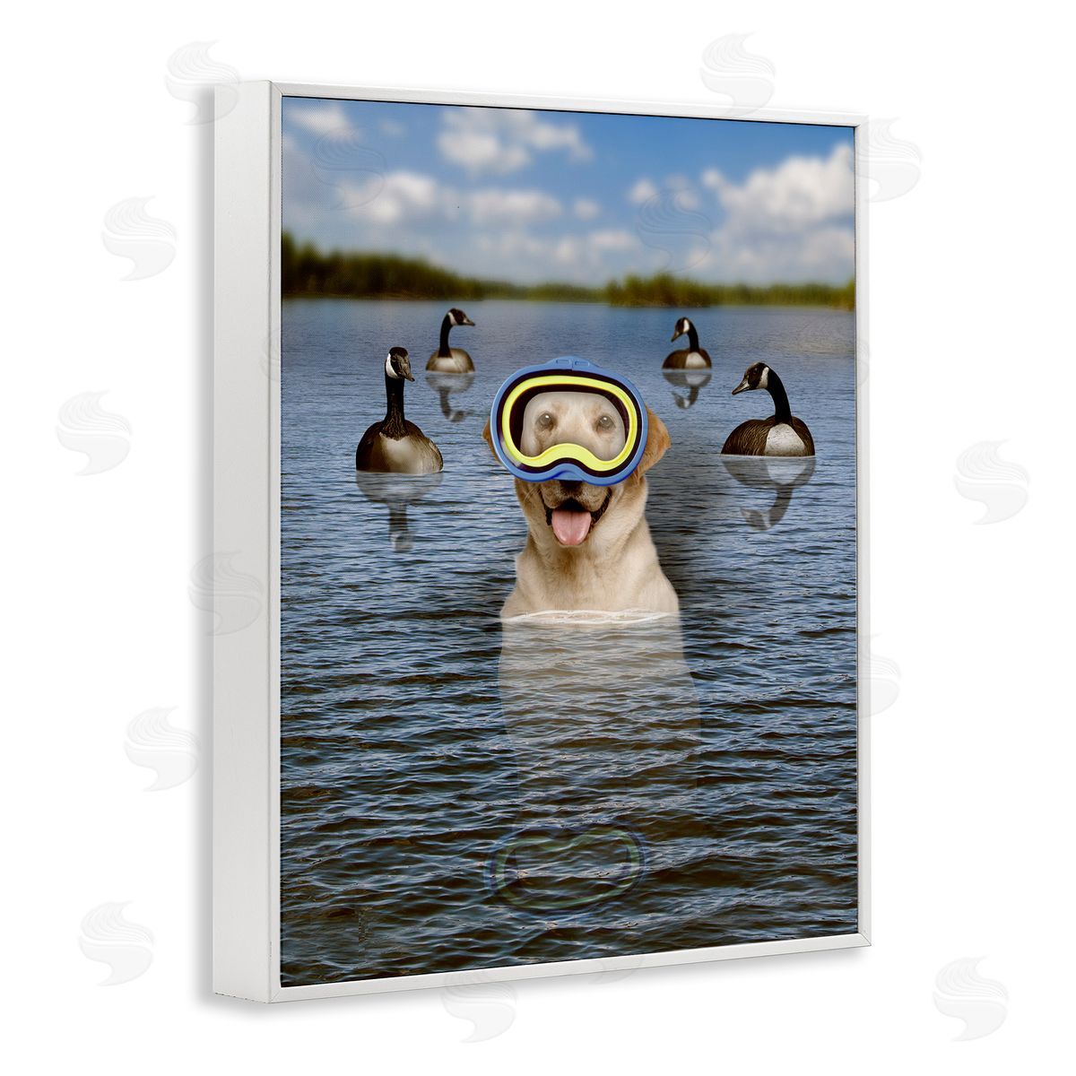 John Hovenstine Funny Dog Goggles Swimming Bay