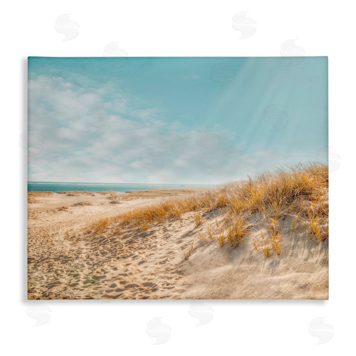 Brooke T. Ryan Sandy Ocean Beach Sun Rays