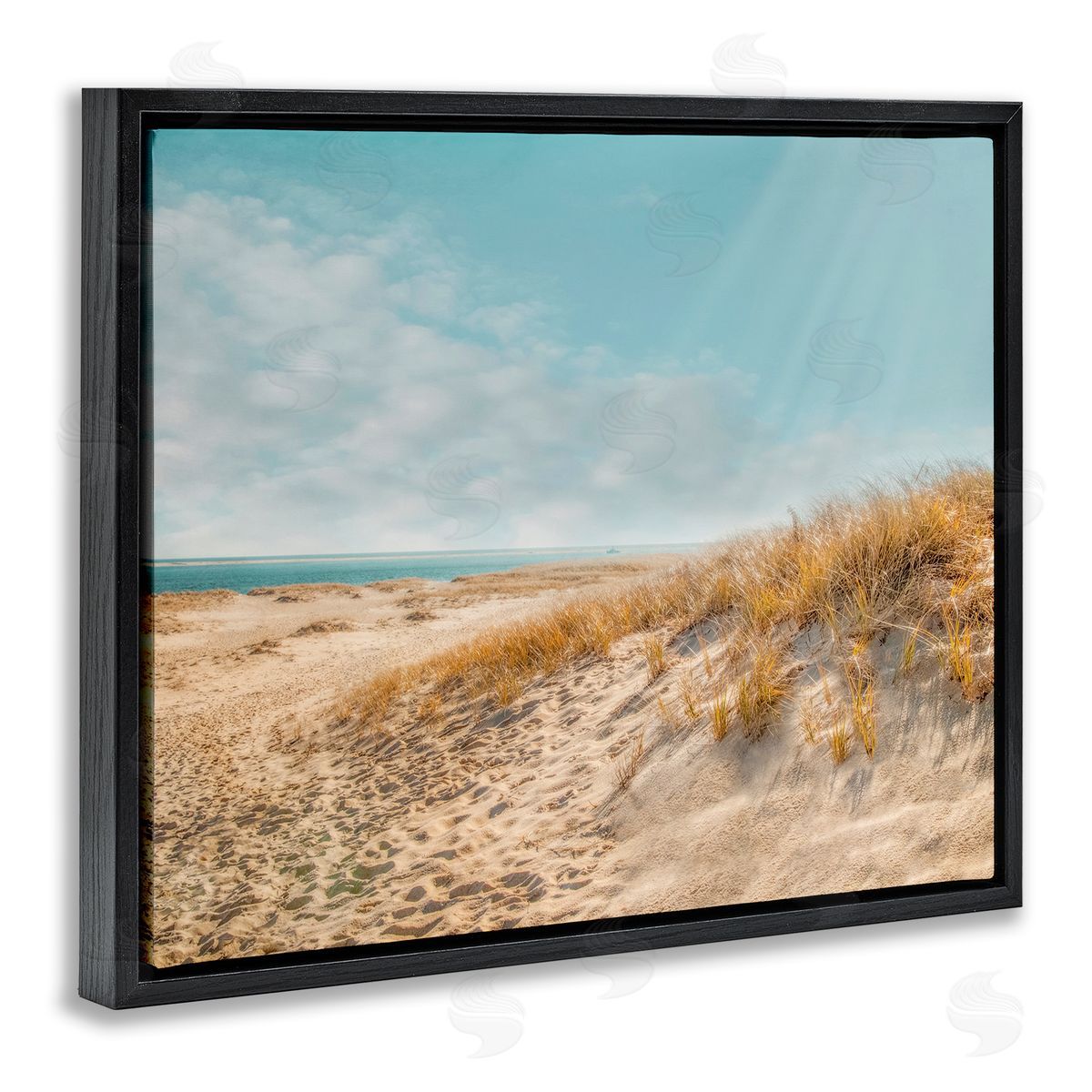 Brooke T. Ryan Sandy Ocean Beach Sun Rays