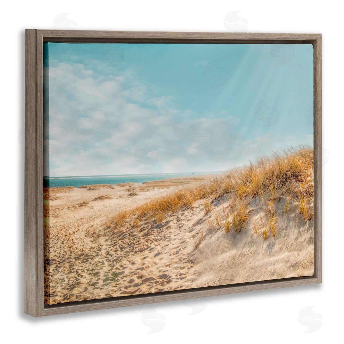 Brooke T. Ryan Sandy Ocean Beach Sun Rays