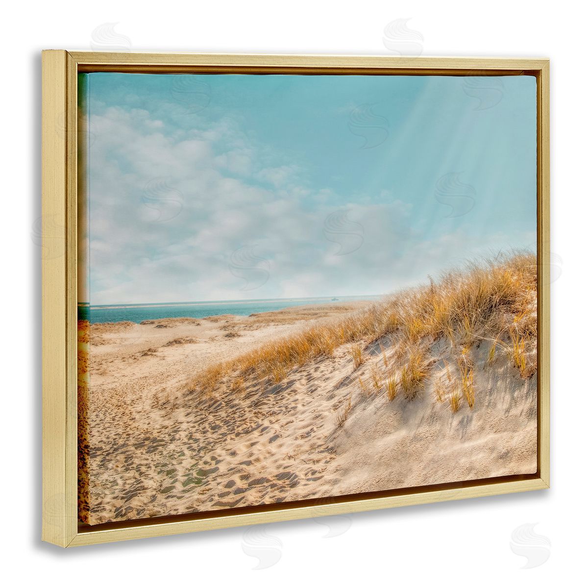 Brooke T. Ryan Sandy Ocean Beach Sun Rays
