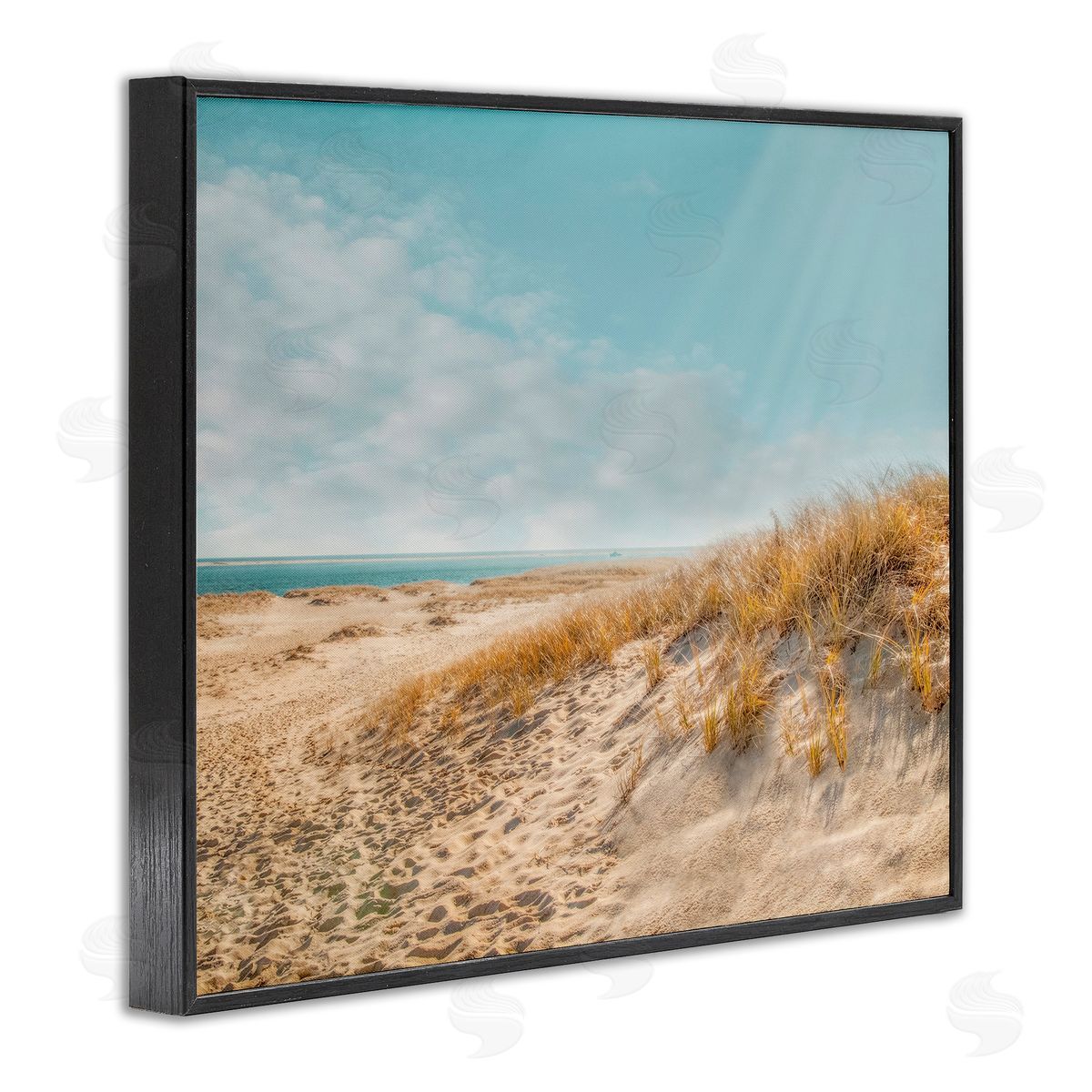 Brooke T. Ryan Sandy Ocean Beach Sun Rays