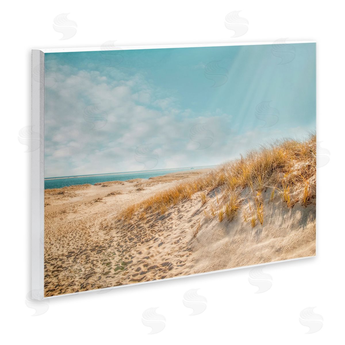 Brooke T. Ryan Sandy Ocean Beach Sun Rays