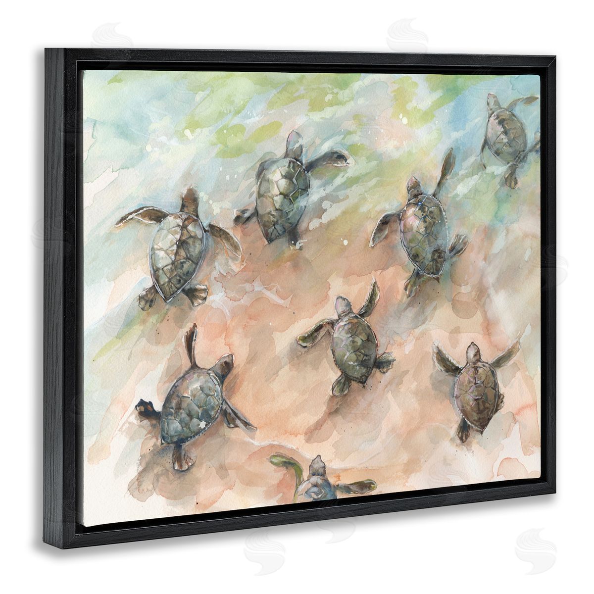 Diannart Baby Sea Turtles Swimming Shore