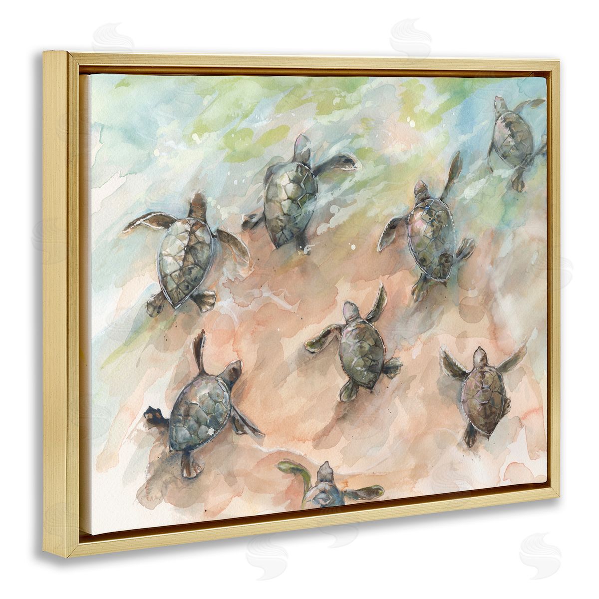 Diannart Baby Sea Turtles Swimming Shore